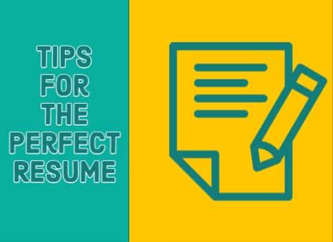 Tips for Perfect Resume_482 x 350